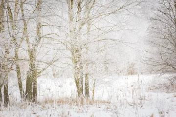 Polish winter landscape