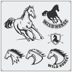 Horse heraldry coat of arms. Labels, emblems and design elements for sport club.