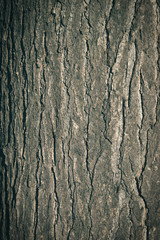 Wooden background