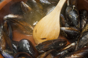 A pan with mussels. Mejillón de Galicia