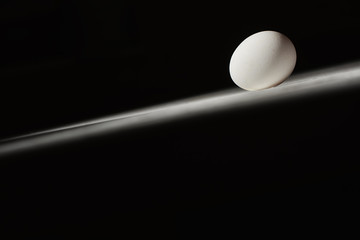 white chicken egg on a white table on a black background