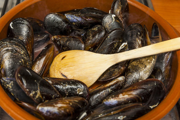 A pan with mussels. Mejillón de Galicia