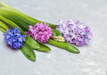 spring flowers background