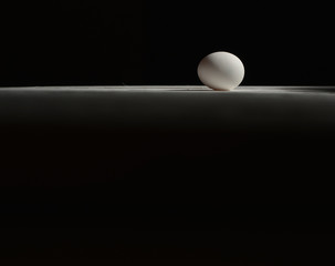 white chicken egg on a white table on a black background