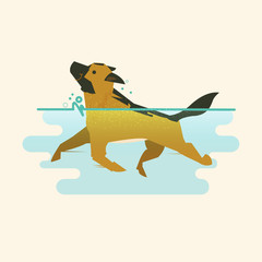 dog swimming in ther water - vector