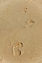 empreintes de pas sur le sable