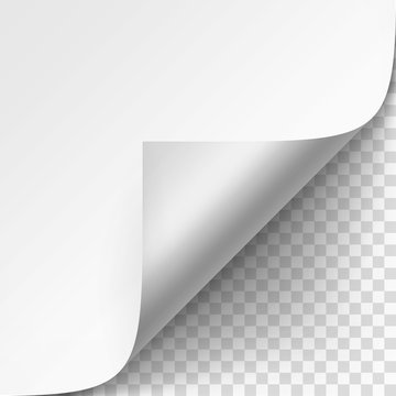 Vector Curled corner of White paper with shadow Mock up Close up Isolated on Transparent Background