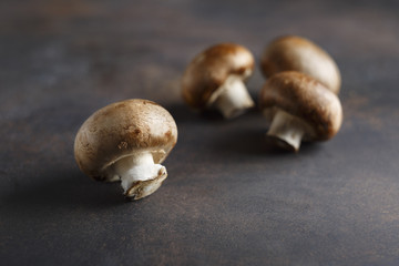 Mushrooms champignons close up on a dark background