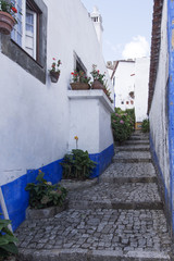 Fototapeta na wymiar Leere schmale Straße in Obidos, Portugal