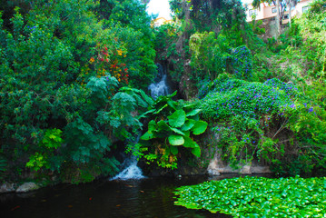 Fototapete bei efototapeten.de bestellen   