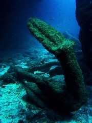 Anchor / underwater photograph, anchor from Condesito ship wreck, Tenerife, Canarian Islands, depth - 20m.