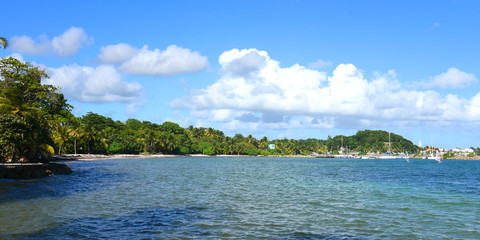 Obraz premium Plage de sainte anne en guadeloupe