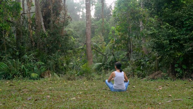 Woman relaxing and meditating on the lawn nearby green forest at Khao Yai national park, Thailand. 
