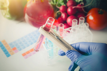 Analyst in gloves takes test tube. Genetically modified food con - obrazy, fototapety, plakaty