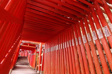 太鼓谷稲成神社の鳥居