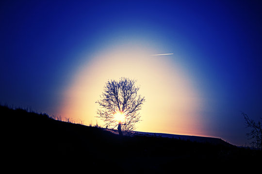 Fototapeta Tree loss cloudy