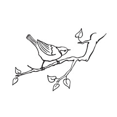 Hand drawn bird sitting on branch isolated on white background. Tit icon in line art style for coloring book.