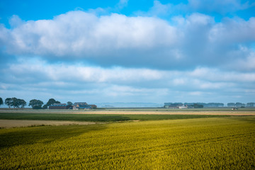 Fototapeta premium wheat field and farm in autumn, France
