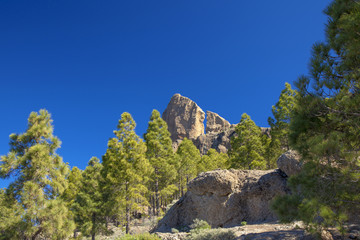 central Gran Canaria in February