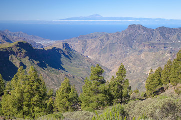 Fototapeta na wymiar central Gran Canaria in February
