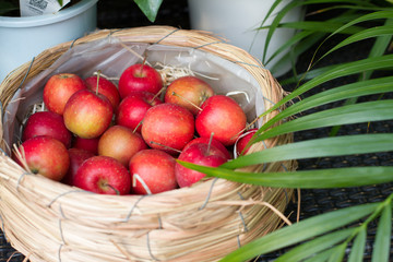 small apple
