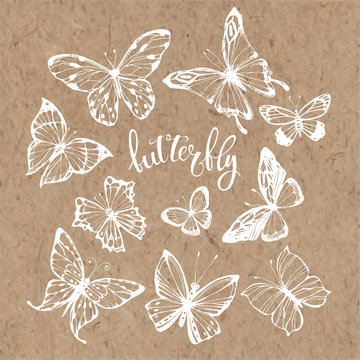 Butterflies. Vector set. Isolated hand-drawn elements on kraft paper.