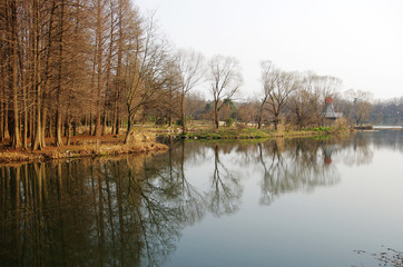The lake