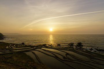 白米千枚田と夕日