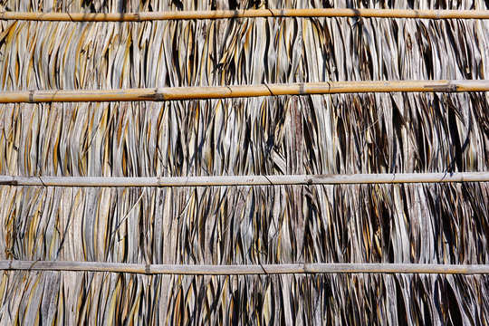 House's wall made from dried leaves of the nipa palm and bamboo. old wall textured background.