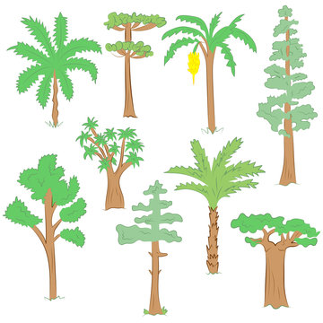Hand Drawn Set of Green Trees. Doodle Drawings of Palms, Sequoia, Aloe, Acacia, Ceiba  in Flat Style.Vector Illustration.