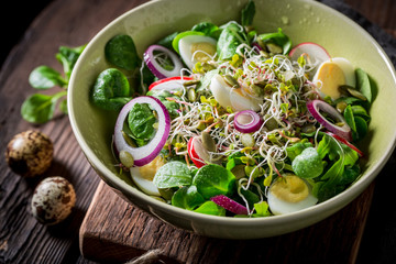 Spring green salad with quail egg, radish and onion
