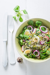 Slimming green salad with lettuce, arugula and quail egg