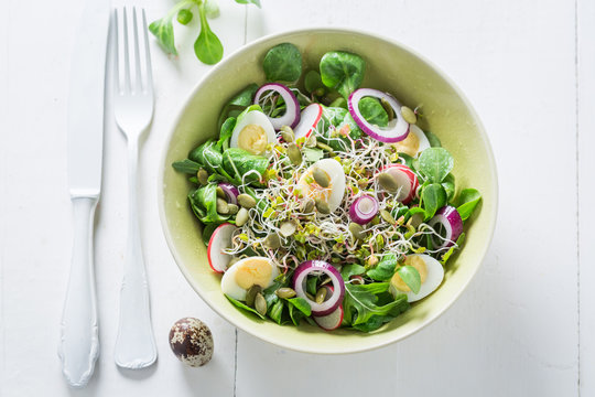 Spring green salad with onion, quail egg and sprouts