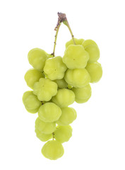 Star gooseberry isolated on white background