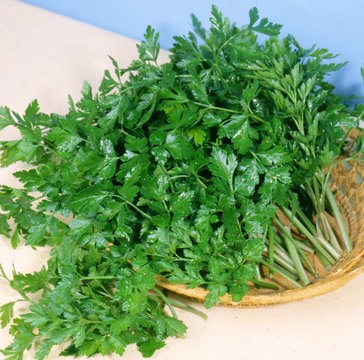 Fresh bunch of parsley