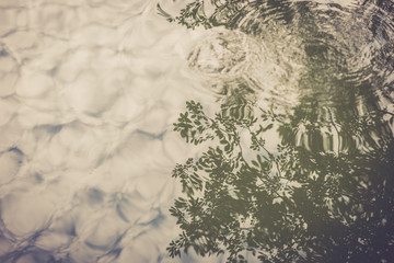 Abstract background - sky and tree reflected in water. Above the reflection, there are two big...