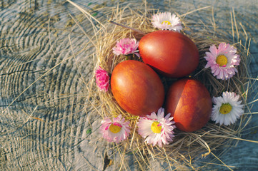 Easter red eggs and spring flowers in a nest on old wooden background. 