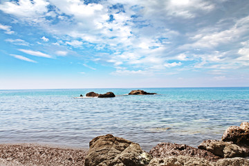 Fototapeta premium summer landscape 