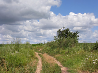Rural landscape. Country road & clouds.