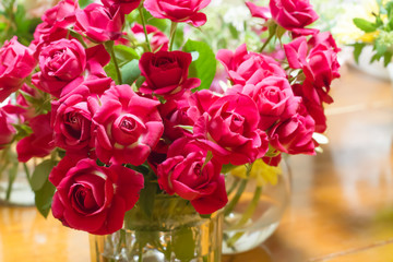 deep pink rose