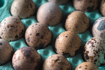 Quail eggs in the container cloth-up
