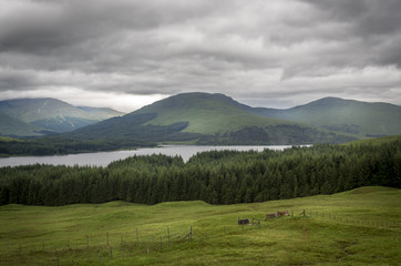 Scottish Highlands 16