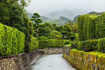 Chiran samurai preserve district in Kagoshima, Kyushu in rain.