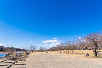 冬の多摩川河川敷