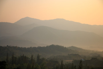 Obraz premium Morning time wild forest in the sunrise misty fog.