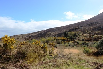 Irish landscape as Gap of Dunloe in Killarney National Park,Kerry,Ireland, cloudy day