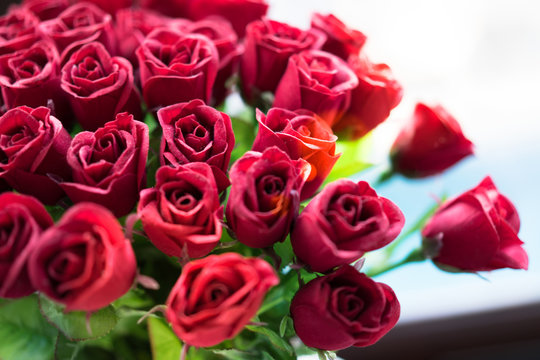 Red roses on Valentine's Day.