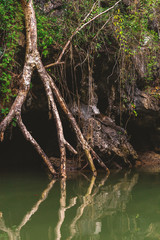 Limestone rocks surrounded by the emerald lagoon