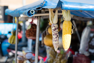 Corn hanging on vegetable vendor stall, selective focus