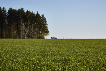 Grünfläche mit Auto
